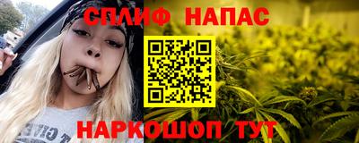 стаф Краснодар